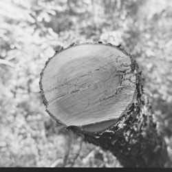 A city with a hill in the background.