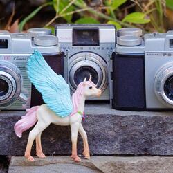 Kodak Pony 135 camera.