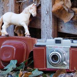 Kodak Pony 135 camera.