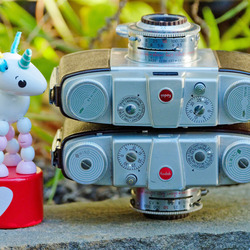 Kodak Pony 135 camera.