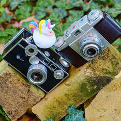 Argus C3 camera and Kodak Pony 135 camera.