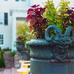 A satyr's head on the side of a green planter in front of an open area surrounded by buildings.