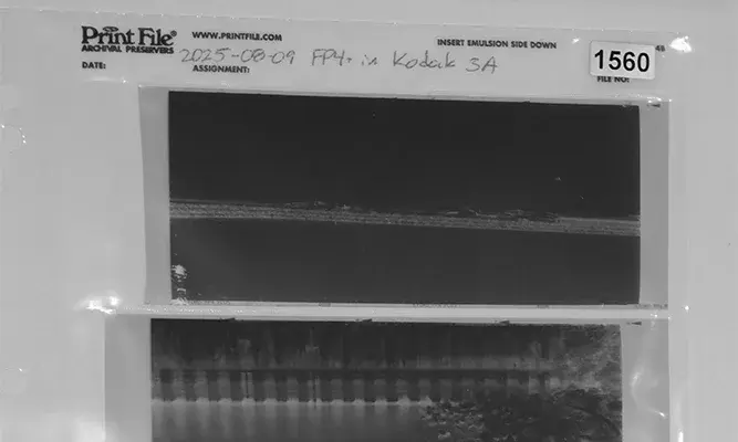 Storage sleeve showing cut negatives