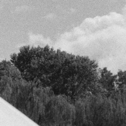 A tight crop of an image showing its grain.