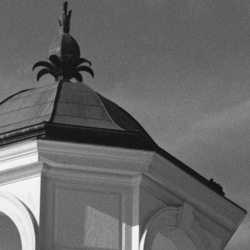 A tight crop of an image showing its grain.