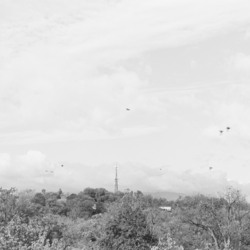A skyline with a cellphone tower.